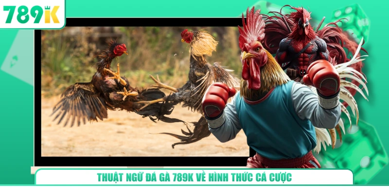 Thuật ngữ đá gà 789K về hình thức cá cược